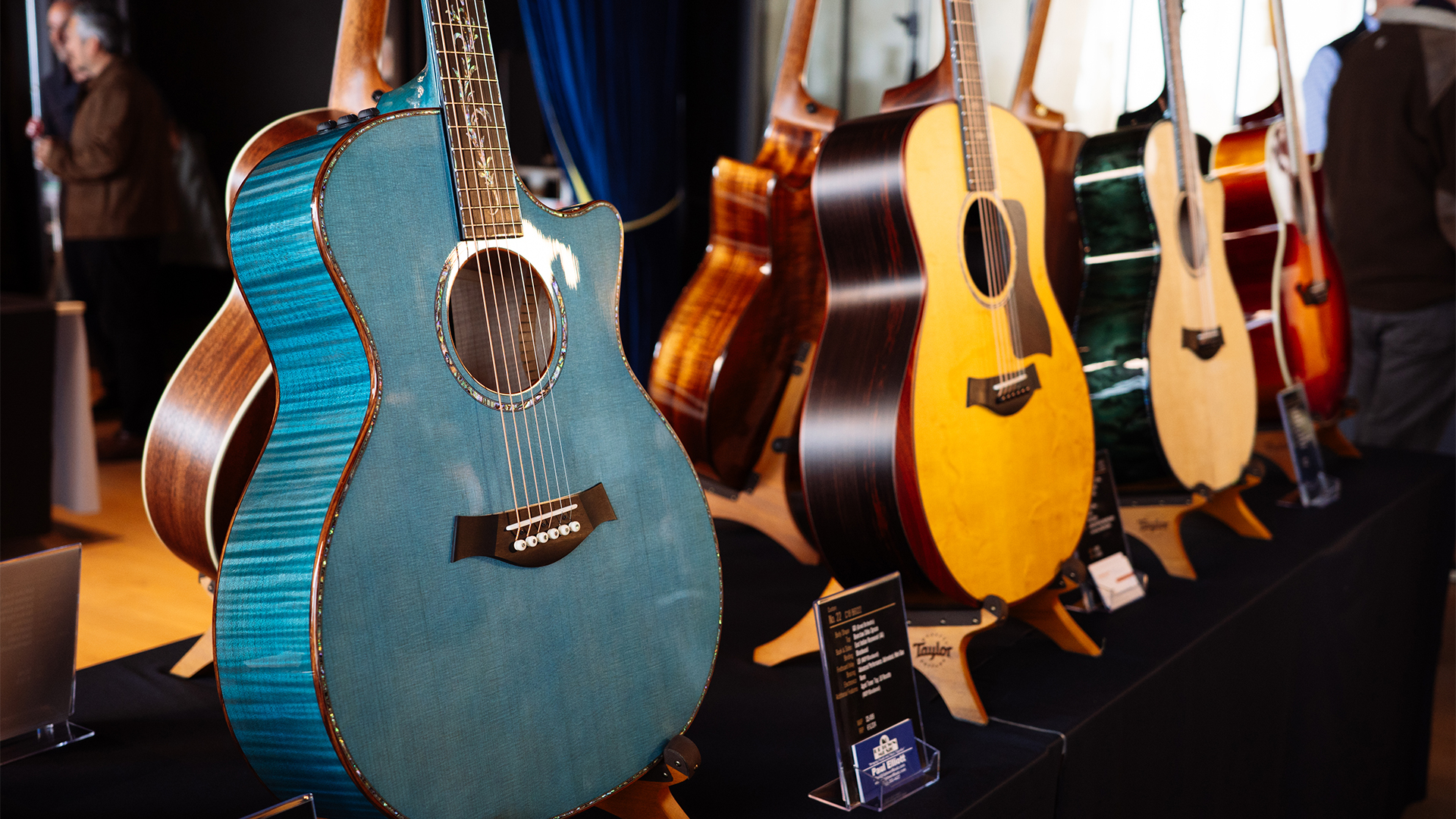 Acoustic Electric Guitars